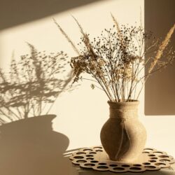 Keramikvase med tørrede blomster i varmt sollys