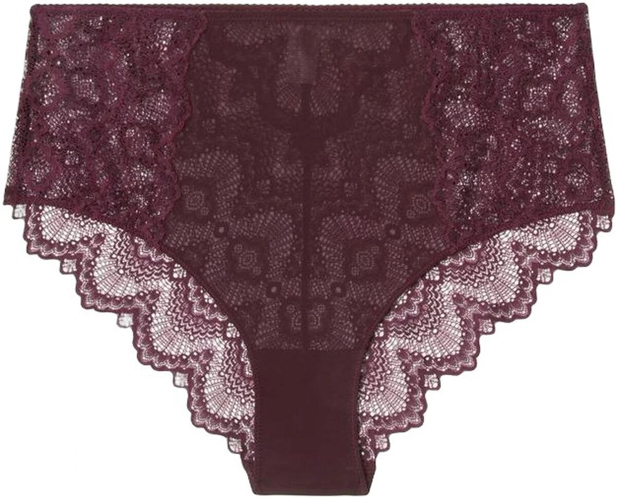 Understatement Lace Mesh Highwaist Briefs – produktbillede