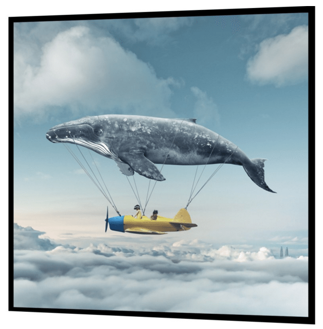 plakat med flyvende hval