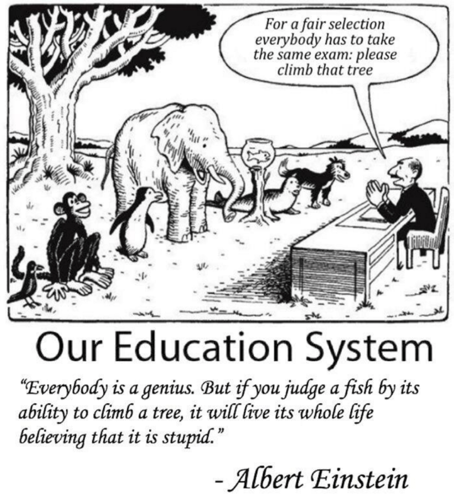 dårlig i skolen