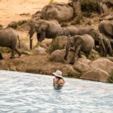 Four Seasons Safari Lodge Serengeti, Serengeti