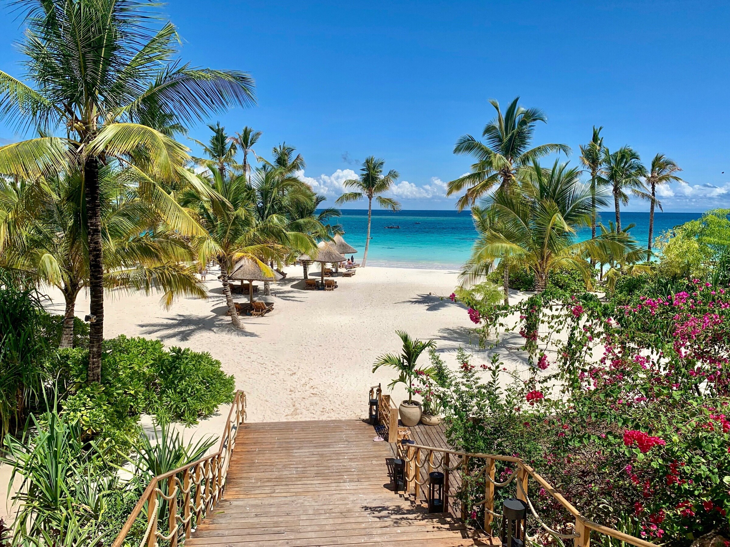 Strand og palmer ved Zuri Zanzibar i Kendwa
