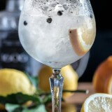 Gin og tonic i stort glas med citrus på træbord