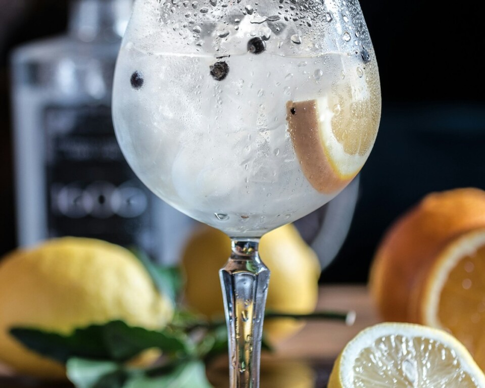Gin og tonic i stort glas med citrus på træbord