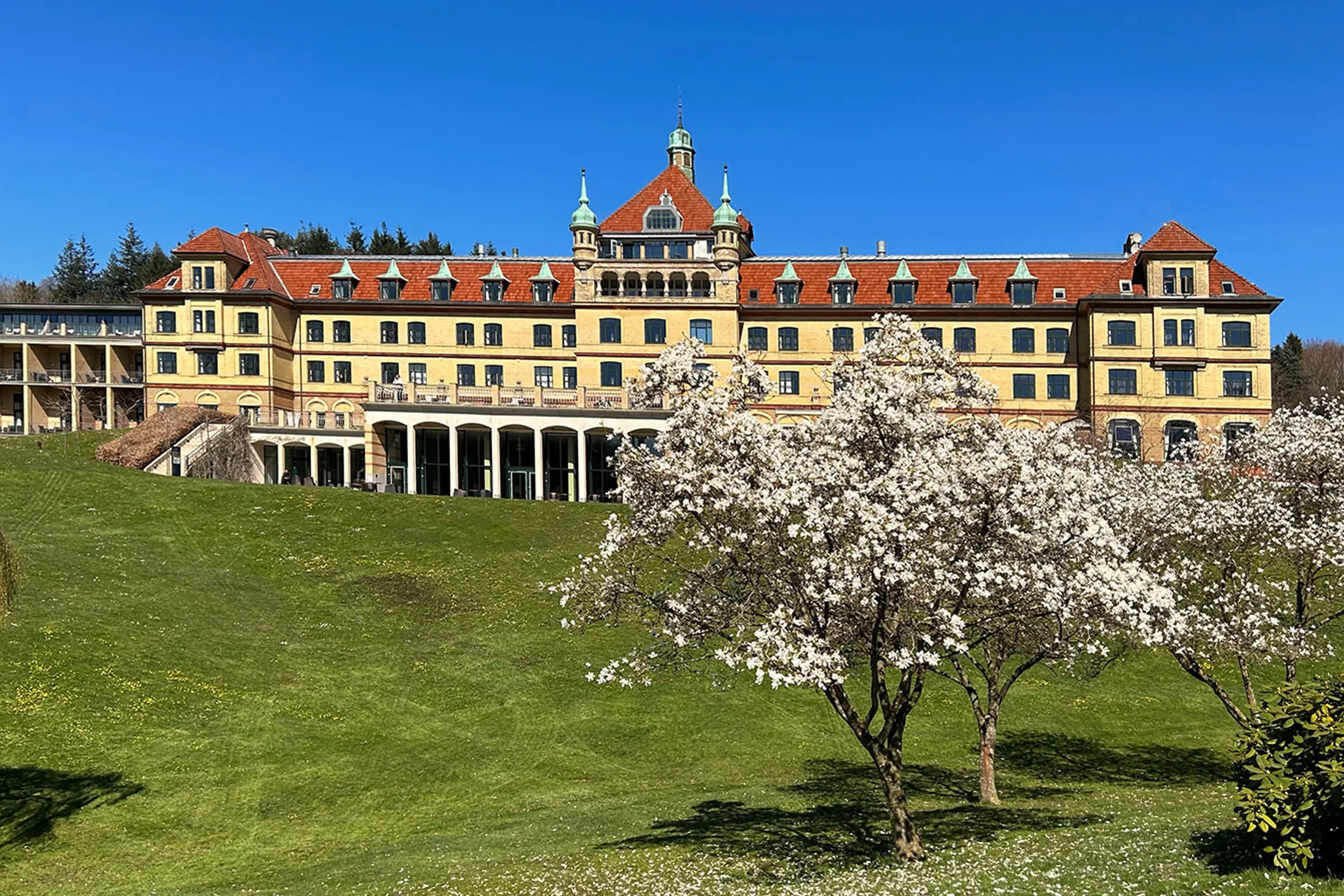 Hotel Vejlefjord set fra parken