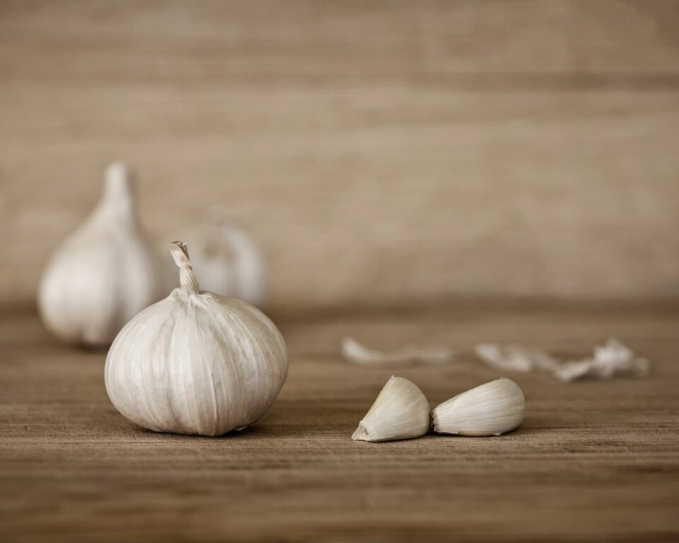 Hvidløg og hvidløgsfed på et træbord