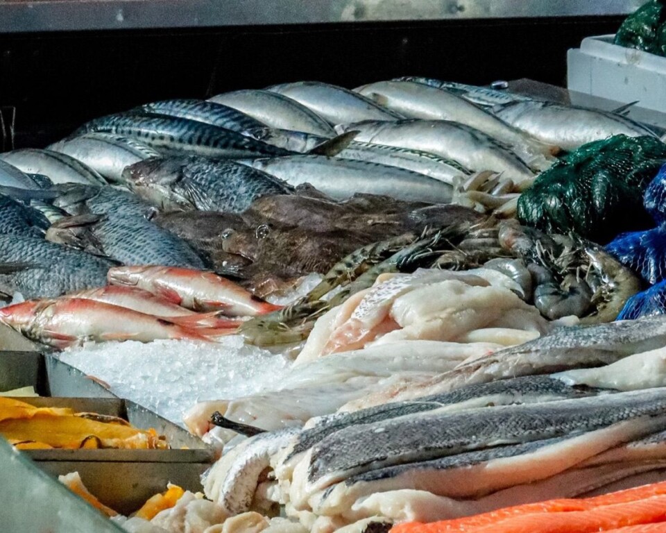 Frisk fisk på is i en fiskehandel